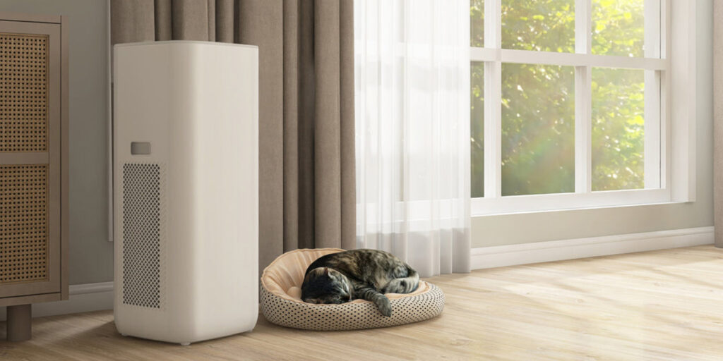 purificateur air allergie